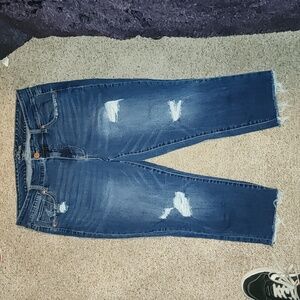 Maurices 16W Jeans